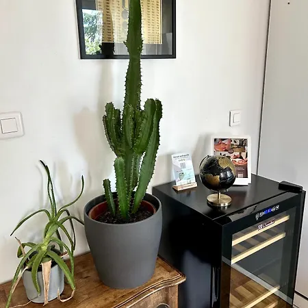 Tony Garnier 2 Bedrooms - Balcony - Parking リヨン